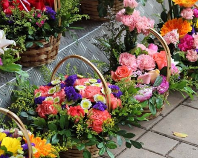 ��������Ļ�����Щ �������⻨��ȫ