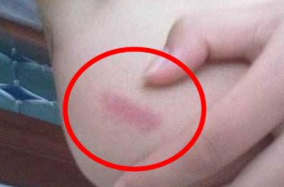 �ֲ�ݮ�ļ��ɸ���ô�� �ڶԷ��Ĳ��������²�ݮӡ