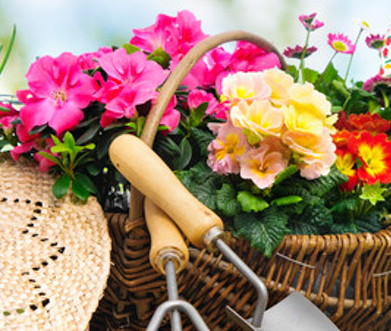 ��������Ļ�����Щ �������⻨��ȫ