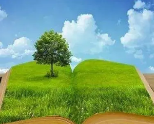 ��̬��������������� �򱨾���һ�㱨ֽ�����Ե��ص�