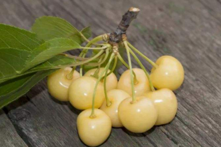 ��ӣ�ҵĹ�Ч������ ��������ߵ�һ��Ʒ��