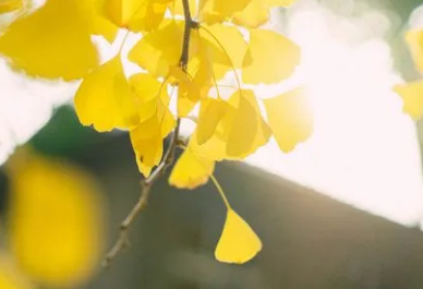 ����������Ĭ���� ѧ��һЩ��Ĭ�ľ��ӾͿ��Ա���Ĭ��