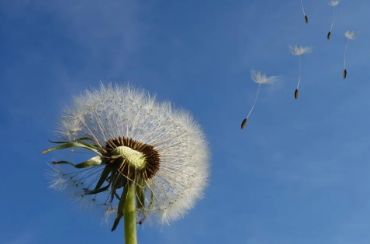 ����������Ĭ���� ѧ��һЩ��Ĭ�ľ��ӾͿ��Ա���Ĭ��