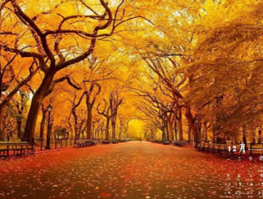 ����������Ĭ���� ѧ��һЩ��Ĭ�ľ��ӾͿ��Ա���Ĭ��