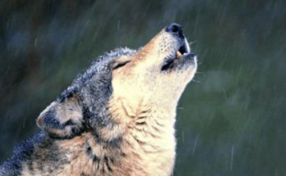 �ǵľ�����ʲô��˼ �ܶ���ҵ�Ļ���ǿ�����Ծ���