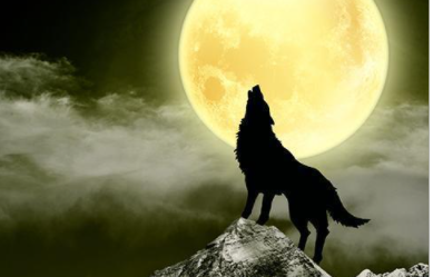 �ǵľ�����ʲô��˼ �ܶ���ҵ�Ļ���ǿ�����Ծ���