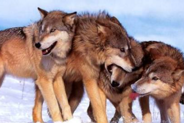 �ǵľ�����ʲô��˼ �ܶ���ҵ�Ļ���ǿ�����Ծ���