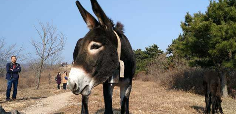 Ů���ε�¿��ʲôԤ�� ��ͬ��Ů���ε�¿���ξ�����