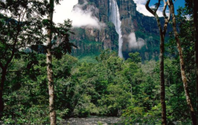 ����֮������ЩͼƬ �ܶ��������۶�����֮���