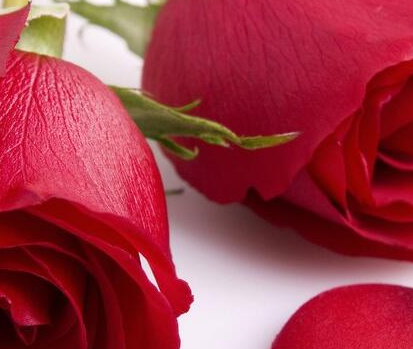 ���ֹ�ϵ������ĺ������˽� ���˽ڷ������������