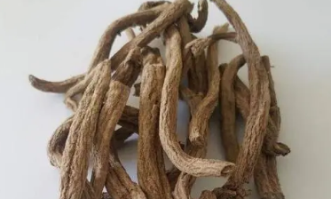 �Ͻ�ɰ�Ĺ�Ч������ ����θʹ����ʹ����вʹ