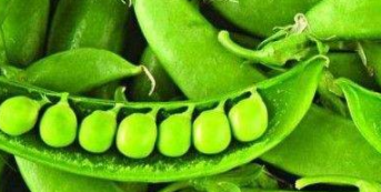 豌豆角的功效与作用 豌豆角能抗菌消炎