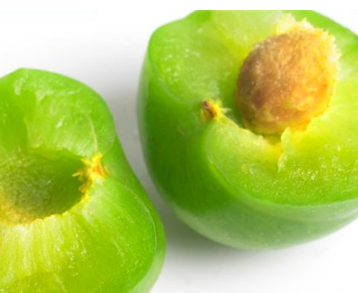 �����ӵĹ�Ч ��������δ��ĺ�������