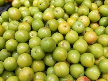 �����ӵĹ�Ч ��������δ��ĺ�������