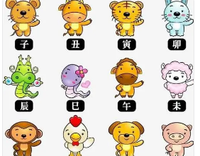 ���಻����ĺ������� ���಻����ĺ�������