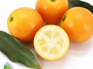 ��Ƥ��۵Ĺ�Ч������ ��Ƥ�����ת�������