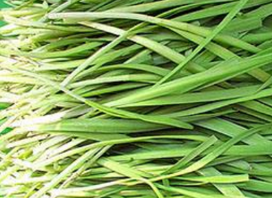 �²����Ĺ�Ч������ �������÷ǳ��㷺