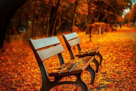 ��ȷ�İ������������ ������ȷ�İ����