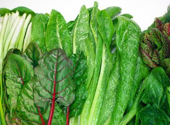 什么蔬菜是高蛋白 含高蛋白的食物一览表