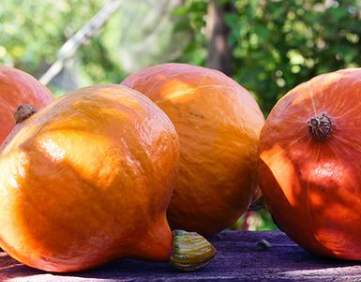 什么蔬菜是高蛋白 含高蛋白的食物一览表