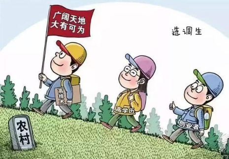 ��ʿѡ����ʲô���� ��ͬѧ���μ�ѡ�����Ժ󶨼���ʲô����