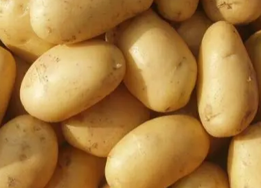 什么蔬菜是高蛋白 含高蛋白的食物一览表