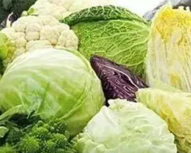 什么蔬菜是高蛋白 含高蛋白的食物一览表