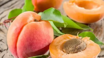 �ϱ��ӵĹ�Ч������ ��Ϊ�����ƵĲ�ͬƷ�ֵ�����