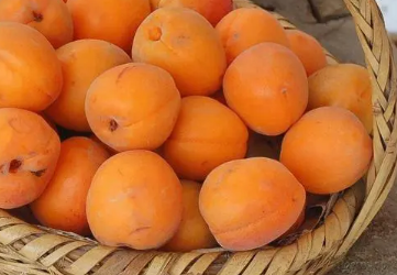 �ϱ��ӵĹ�Ч������ ��Ϊ�����ƵĲ�ͬƷ�ֵ�����