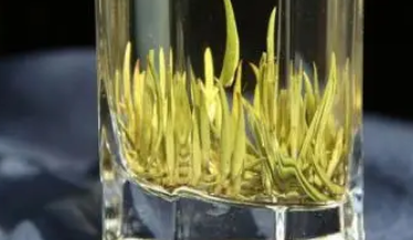 ��ѿ������ʲô�� ��ѿ��Ĺ�Ч������