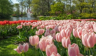 知性是什么意思 知性的女人是什么样子