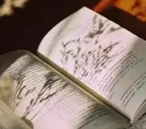 ����һ�����Ķ��ĸо� ����һ����Ȼ�Ķ��ĸо�