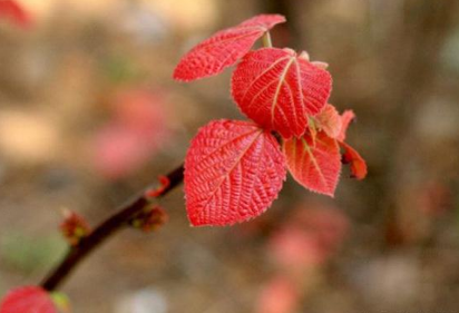 ��������еĿɰ� �����ϲ��һ������������