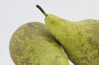 ����Ĺ�Ч������ ��Ч�����ֹ�ȡ���������