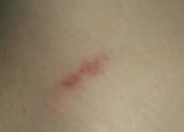 ��ݮӡ��ô�� ������ô����ݮӡ���岽��