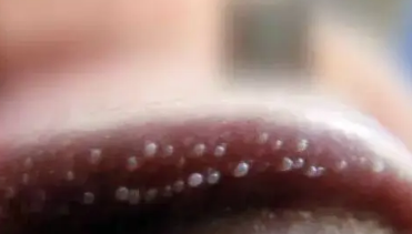 �������С��������ͼƬ �񵭺�ɫС����