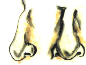 �˵ı����и�����״ ���ӵ���״����Щ