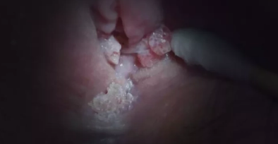 �������С��������ͼƬ �񵭺�ɫС����