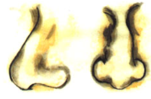 �˵ı����и�����״ ���ӵ���״����Щ