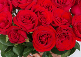 ���˽��ʺ���ʲô�� ��������õ�廨