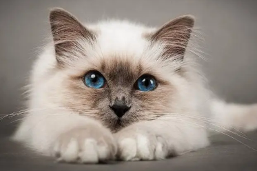 Ů���μ�è��̥���� �ѻ�Ů���μ�è������ѧ����