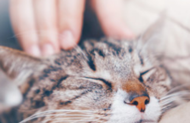 Ů���μ�è��̥���� �ѻ�Ů���μ�è������ѧ����