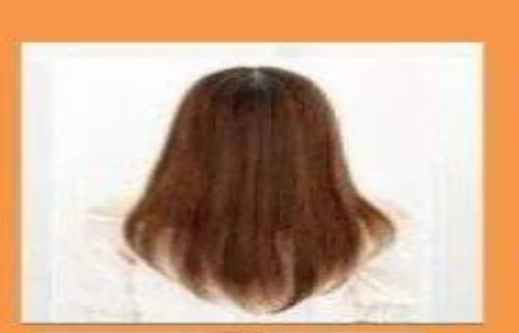 ����ѧͽ����֪ʶ��ʲô ����ѧͽ�Ļ���ѵ������