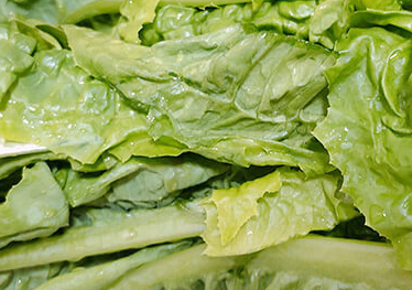 ݫ��Ҷ�ӵĹ�Ч������ ݫ��Ҷ��Ӫ����ֵ