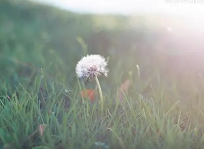 女人梦到自己即将要死周公解梦 今天的你做事情可能会提不起劲