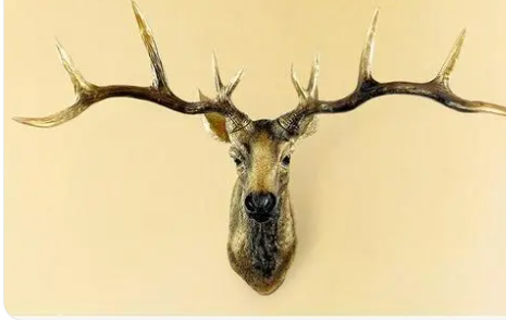 ¹ͷ�ڷ�ˮ�е��������� ¹ͷ�ķ�ˮԢ��