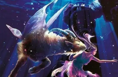 ��������ʲô���� ��������˵����