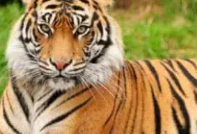 Ů���μ��Լ����ϻ����� ��ͬ���μ��Լ����ϻ����µ��ξ�����