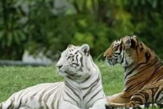 Ů���μ��Լ����ϻ����� ��ͬ���μ��Լ����ϻ����µ��ξ�����