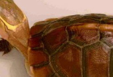 �кܶ���ϲ�����ڹ� ʮ����ֵ�����Ĺ�